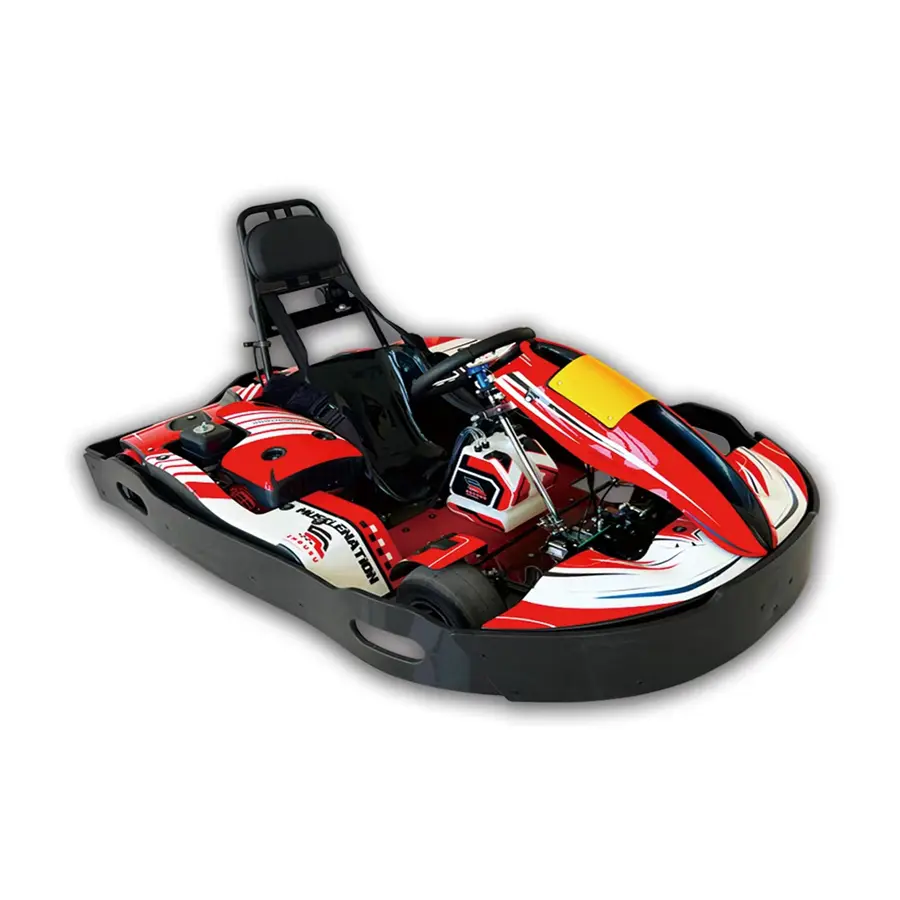 Adult Entertainment Version of Electric Go-Kart (1).jpg