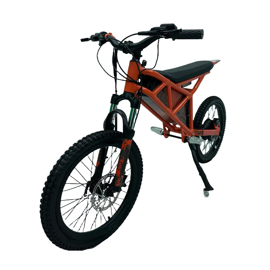 750W 48V Electric Mini Motorcycle For Kids (4).jpg