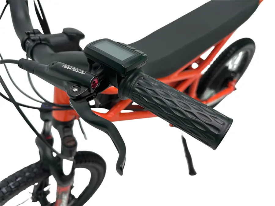 750W 48V Electric Mini Motorcycle For Kids (2)